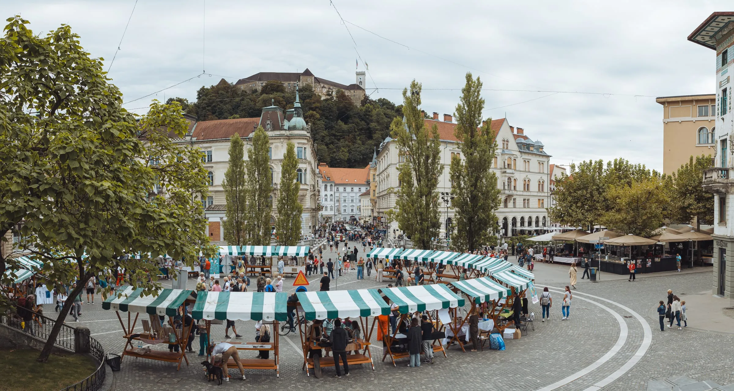 Panorama sejma PONI