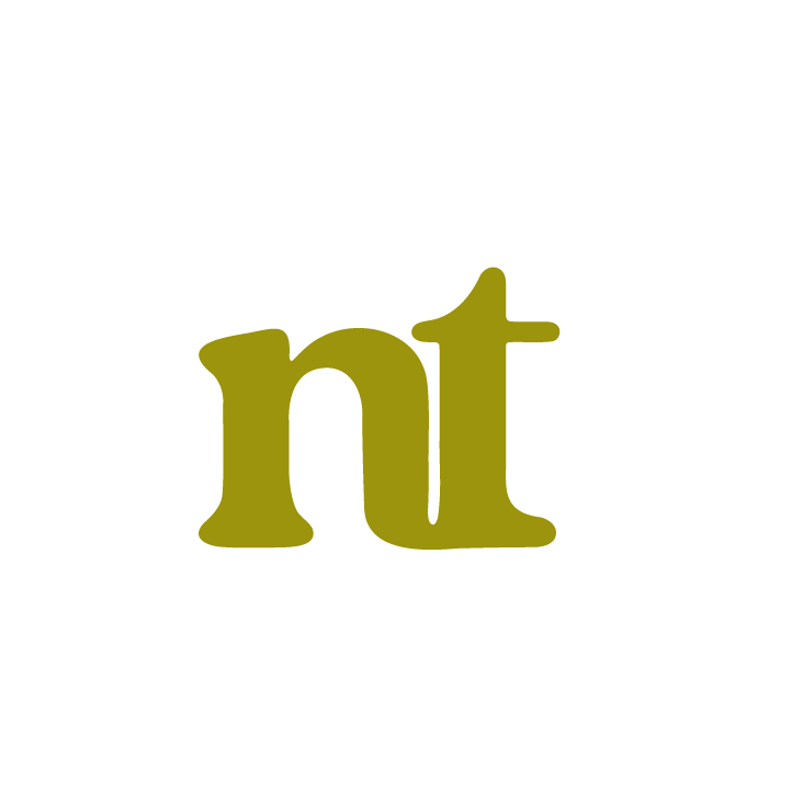 Fotografske storitve, Neža Ternik s.p. logo